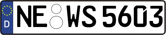 NE-WS5603