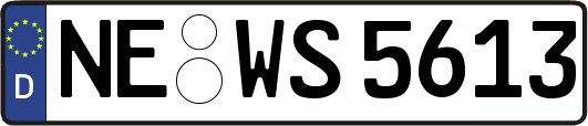 NE-WS5613