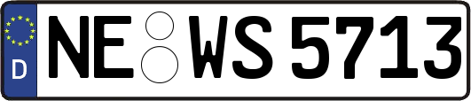 NE-WS5713
