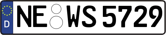 NE-WS5729