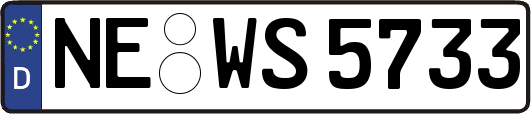 NE-WS5733