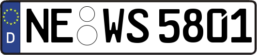 NE-WS5801