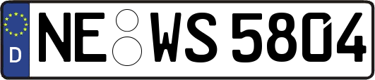 NE-WS5804