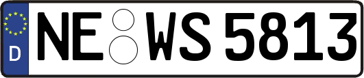 NE-WS5813