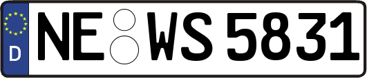 NE-WS5831