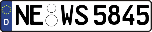 NE-WS5845