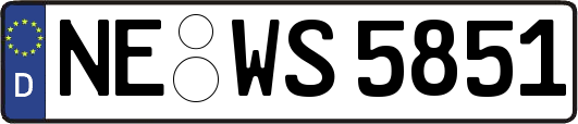 NE-WS5851