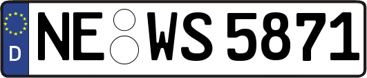 NE-WS5871