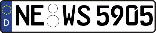 NE-WS5905