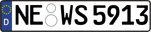 NE-WS5913