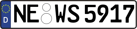 NE-WS5917