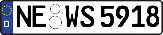 NE-WS5918