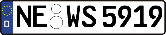 NE-WS5919