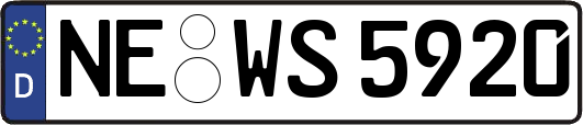 NE-WS5920