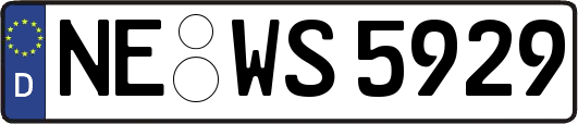 NE-WS5929