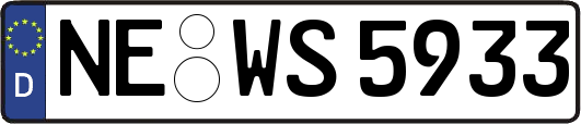 NE-WS5933
