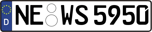 NE-WS5950