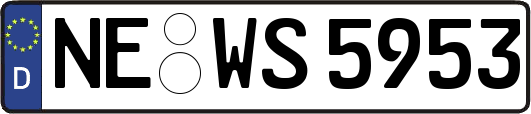 NE-WS5953