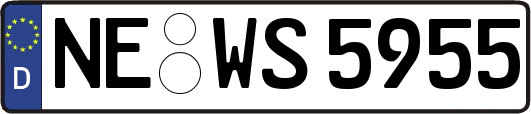 NE-WS5955