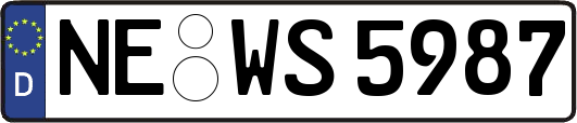 NE-WS5987