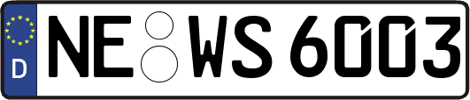 NE-WS6003