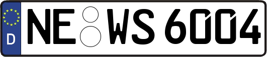 NE-WS6004