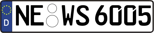 NE-WS6005
