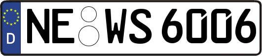NE-WS6006