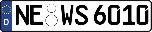 NE-WS6010