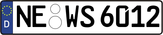 NE-WS6012