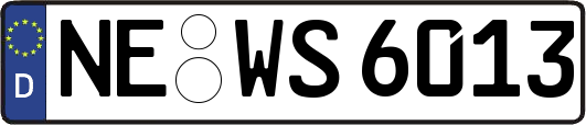 NE-WS6013