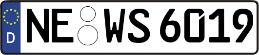 NE-WS6019