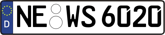 NE-WS6020