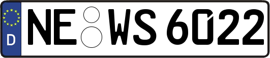 NE-WS6022