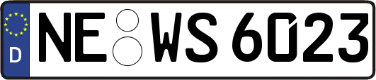 NE-WS6023