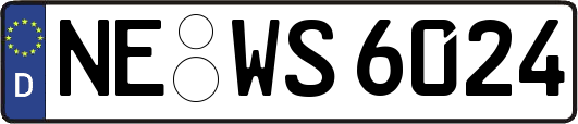 NE-WS6024