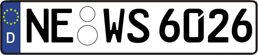 NE-WS6026