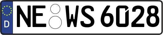 NE-WS6028