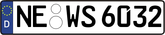 NE-WS6032