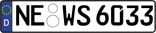 NE-WS6033