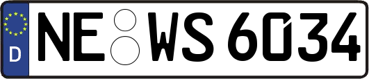 NE-WS6034