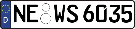 NE-WS6035