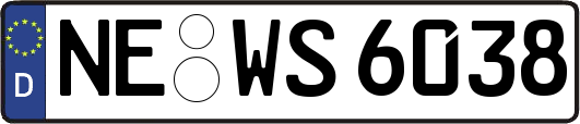 NE-WS6038