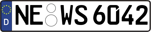 NE-WS6042
