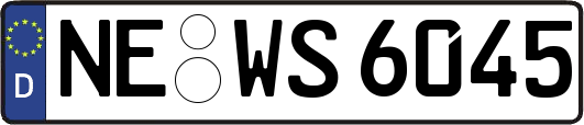 NE-WS6045
