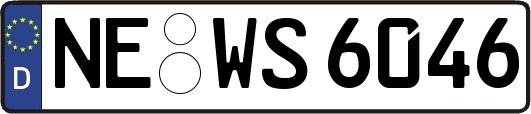 NE-WS6046