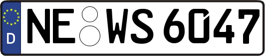NE-WS6047