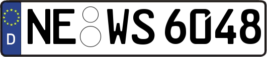 NE-WS6048