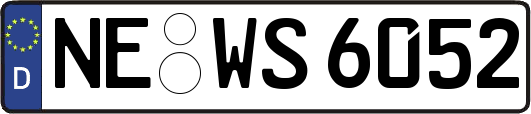 NE-WS6052