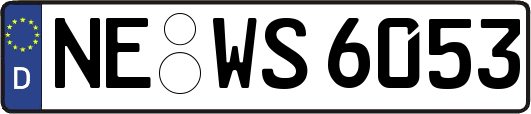 NE-WS6053